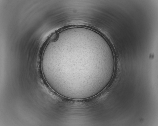 X0000111180979200907151320