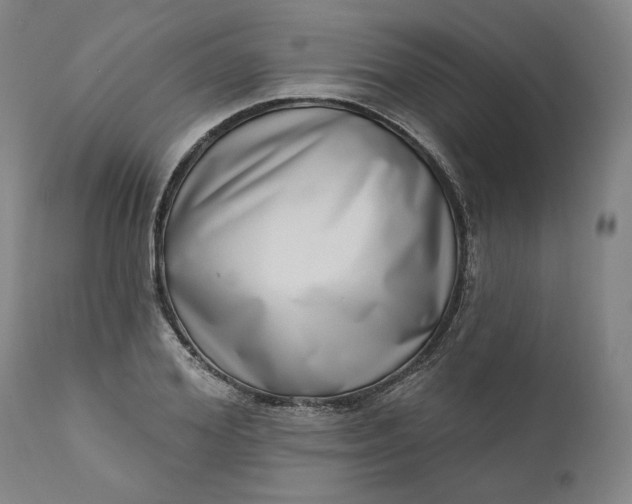 X0000111180980200907151320