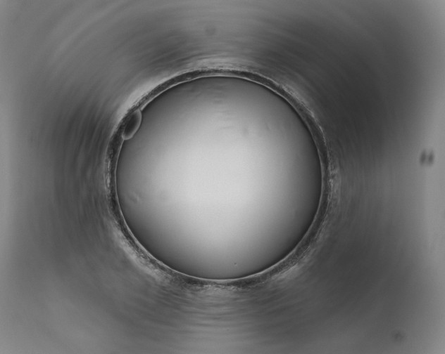 X0000111180981200907151320