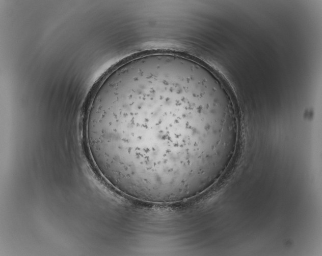 X0000111180983200907151320