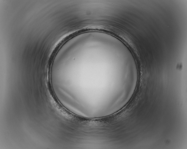 X0000111180984200907151320