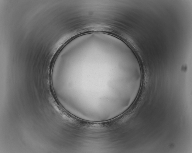 X0000111180986200907151320