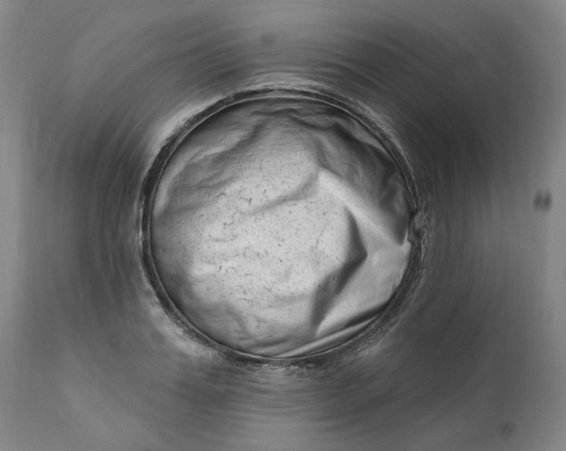 X0000111180987200907151320