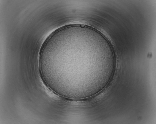 X0000111180988200907151320