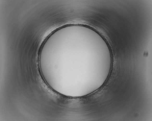 X0000111180990200907151320