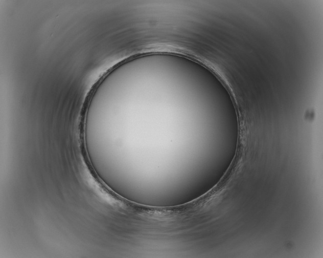 X0000111180995200907151320