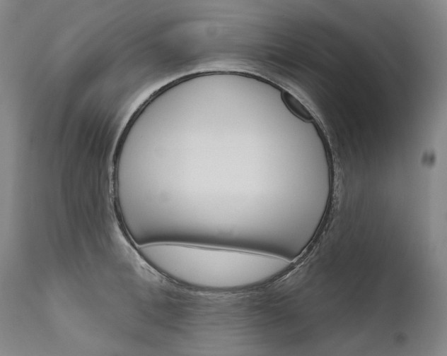 X0000111180996200907151320