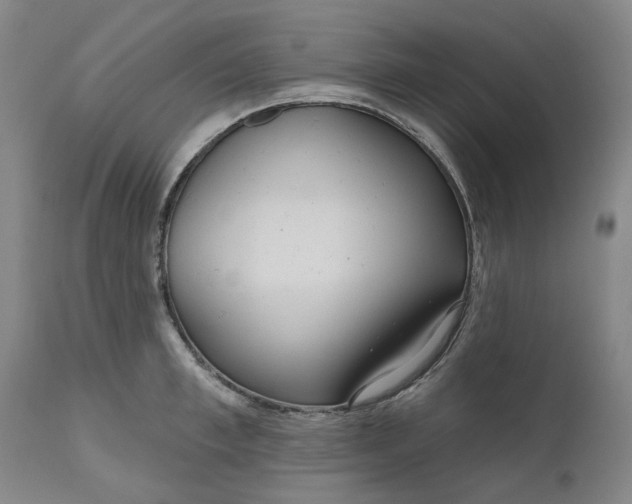 X0000111180997200907151319