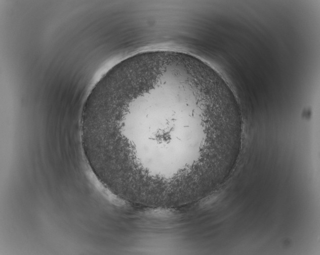 X0000111180998200907151319