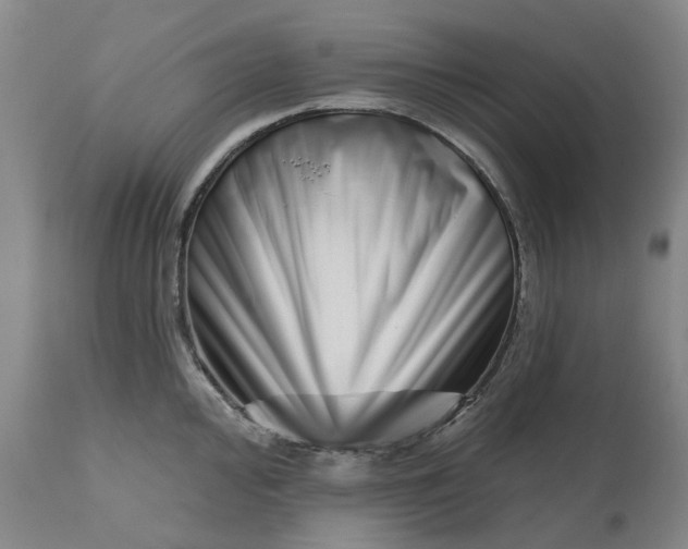 X0000111181000200907151319