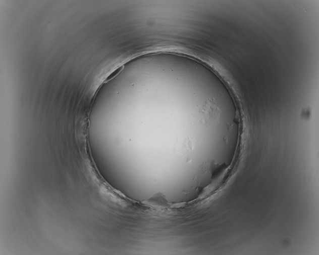 X0000111181001200907151319