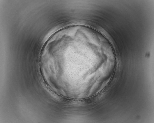 X0000111181002200907151319