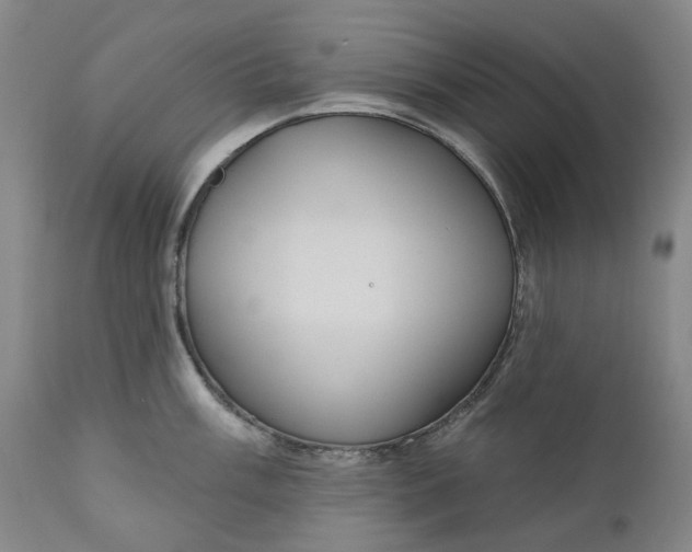 X0000111181003200907151319