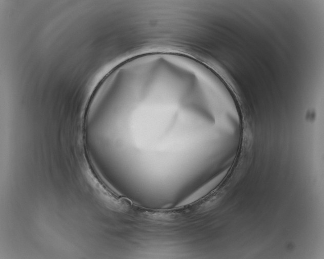 X0000111181004200907151319