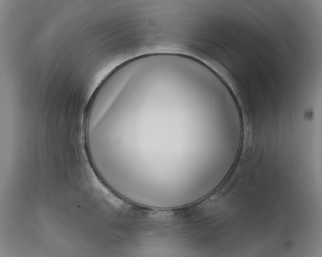 X0000111181006200907151319