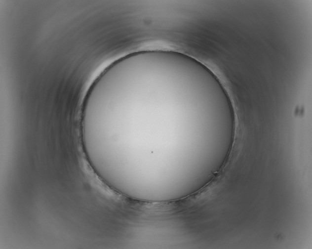 X0000111181008200907151319