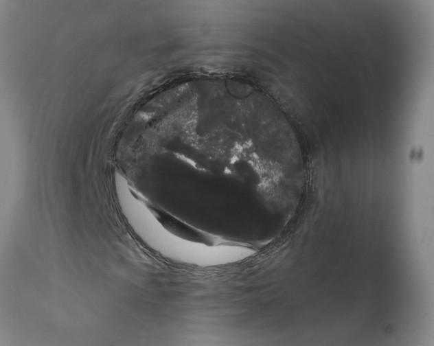 X0000111181009200907151318