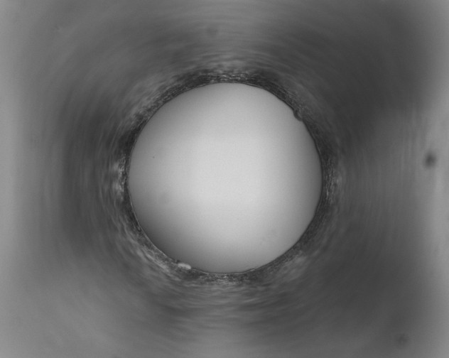 X0000111181010200907151318