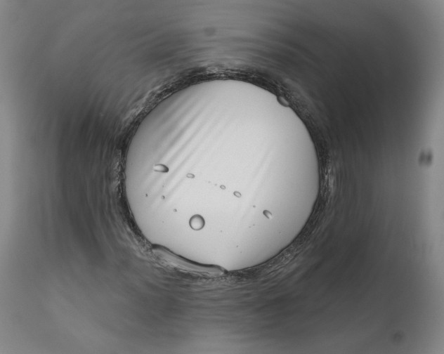 X0000111181012200907151318