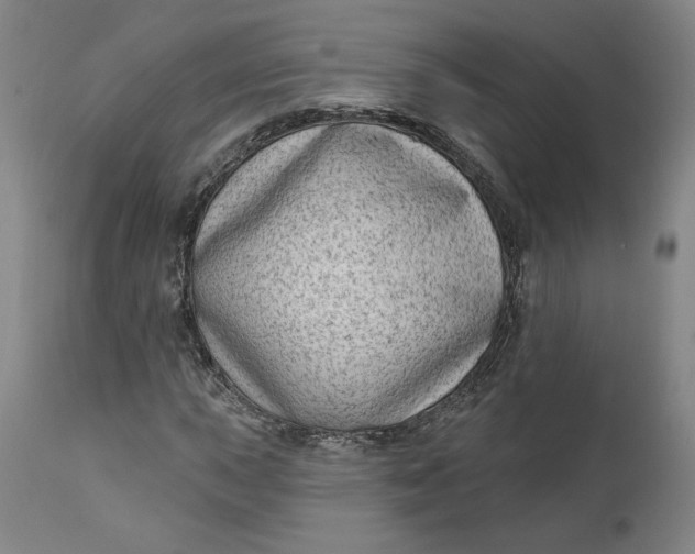 X0000111181015200907151318