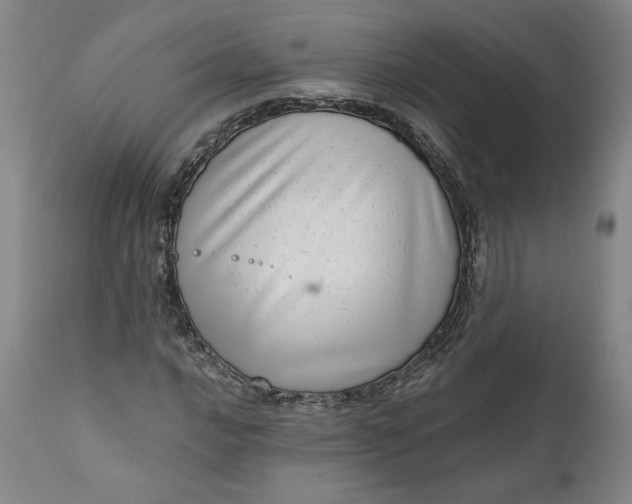 X0000111181016200907151318