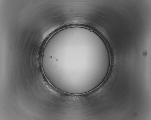 X0000111181018200907151319