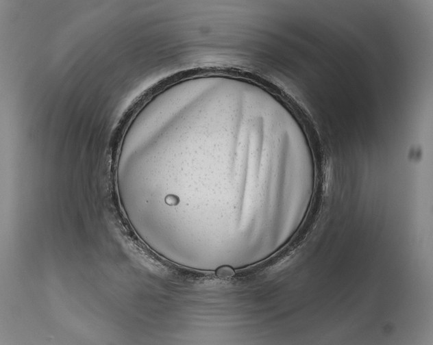 X0000111181021200907151319