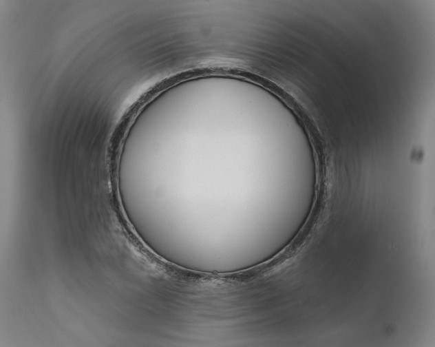 X0000111181022200907151319