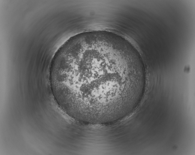 X0000111181023200907151319