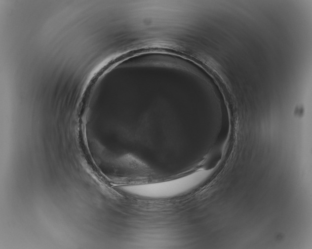 X0000111181024200907151319