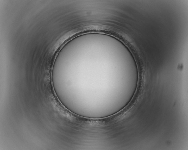 X0000111181025200907151319