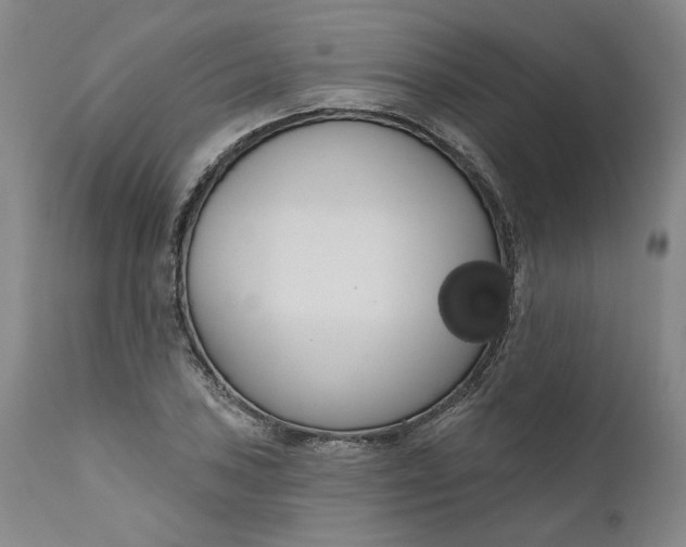 X0000111181027200907151319