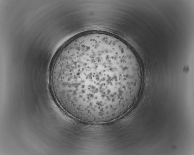 X0000111181028200907151319