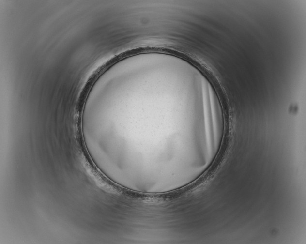 X0000111181029200907151319