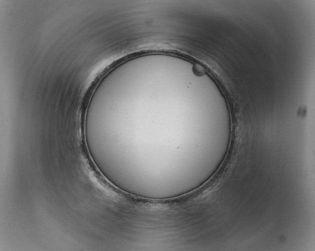 X0000111181030200907151319