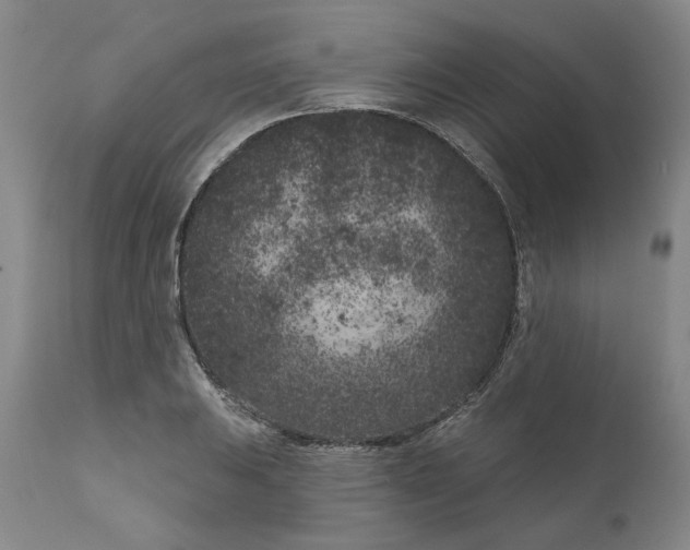 X0000111181031200907151319