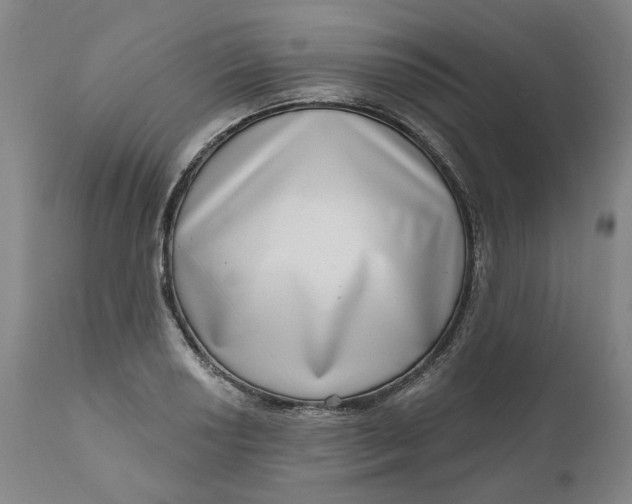 X0000111181034200907151319