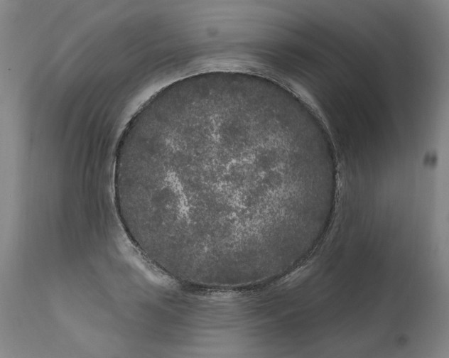 X0000111181035200907151319