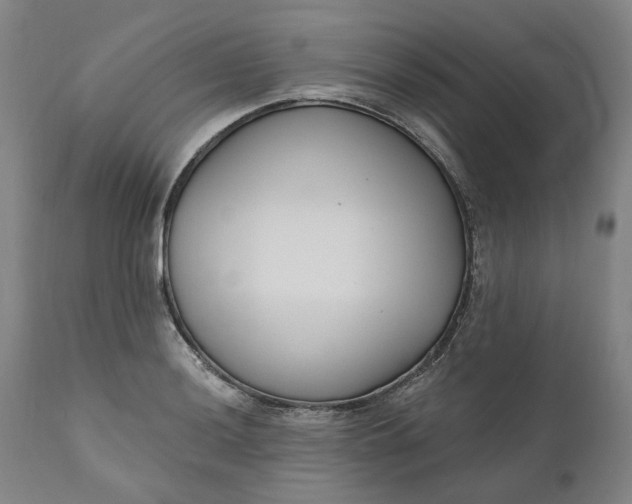 X0000111181036200907151319