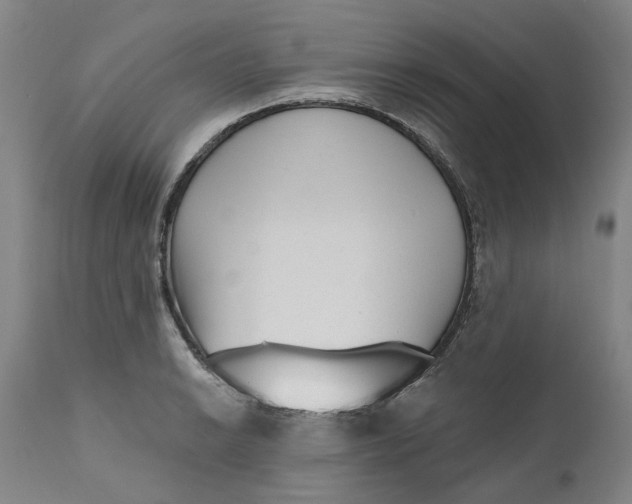 X0000111181038200907151319