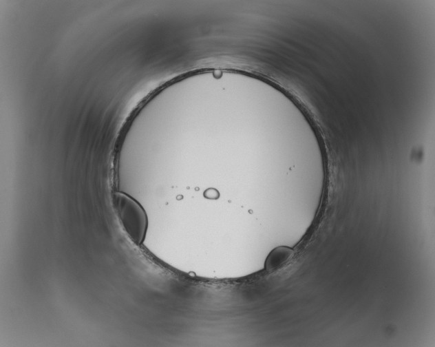 X0000111181040200907151319