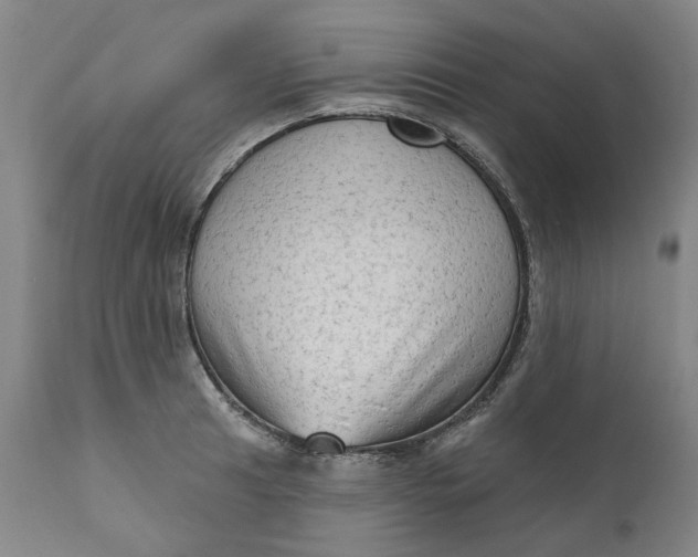 X0000111181041200907151319