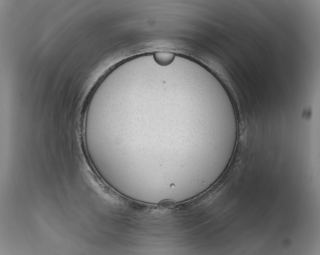 X0000111181043200907151319