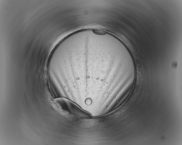 X0000111181044200907151319