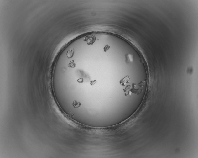 X0000111181045200907151319