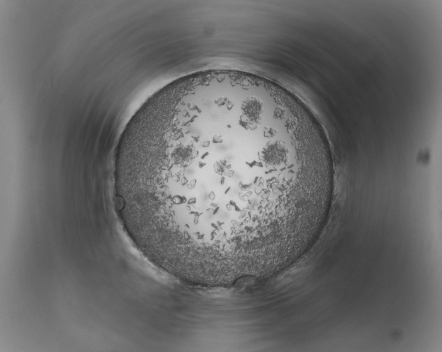 X0000111181048200907151319