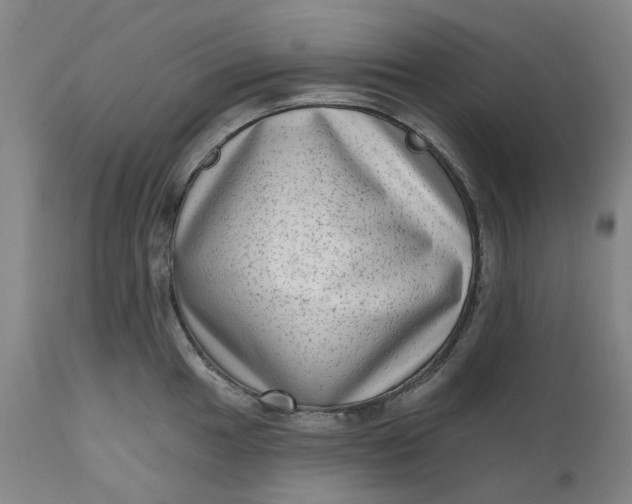 X0000111181049200907151319