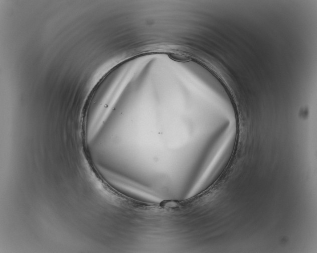 X0000111181050200907151319