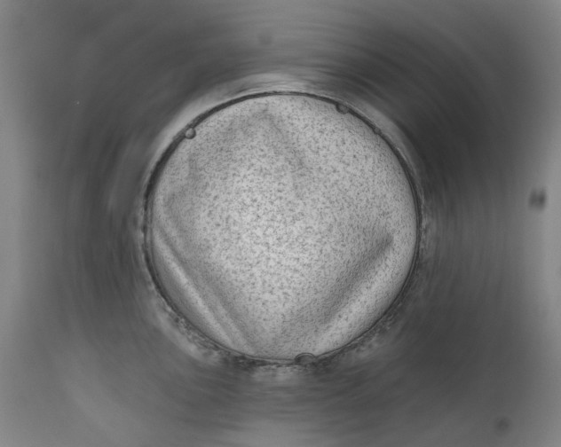 X0000111181051200907151319