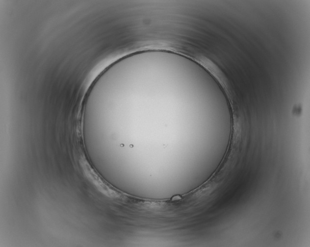 X0000111181052200907151319